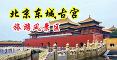 嫩B狂插视频中国北京-东城古宫旅游风景区